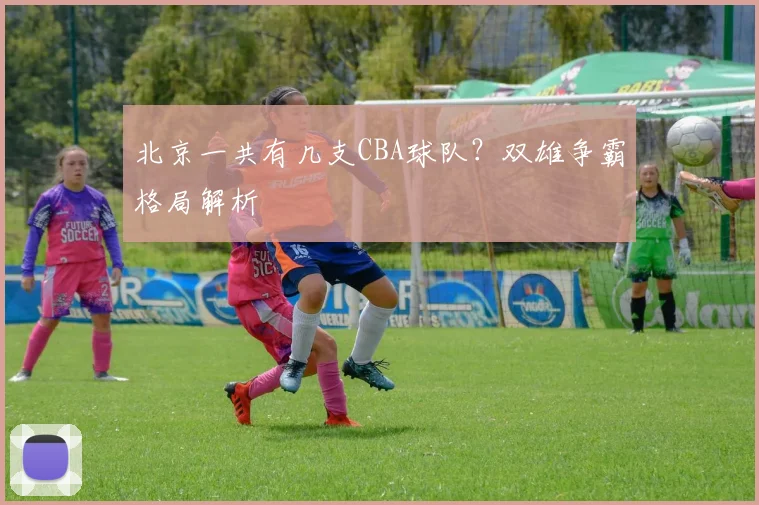 北京一共有几支CBA球队？双雄争霸格局解析
