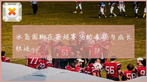 冰岛国脚在英超赛场的表现与成长轨迹