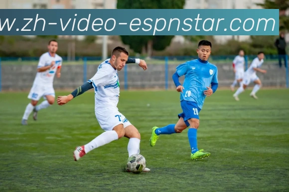 五大联赛直播服务体系